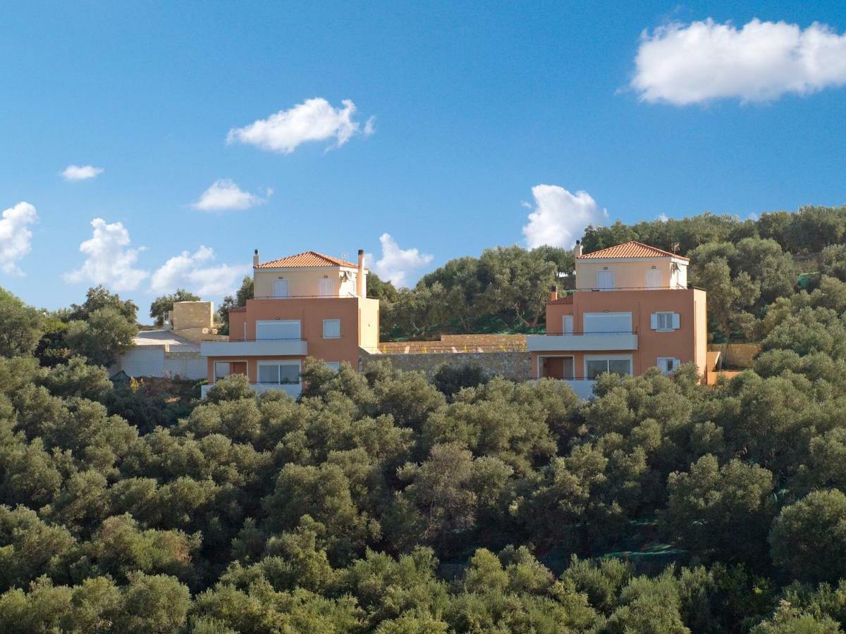 Olive Tree Hillside Apartment 斯塔罗斯 外观 照片